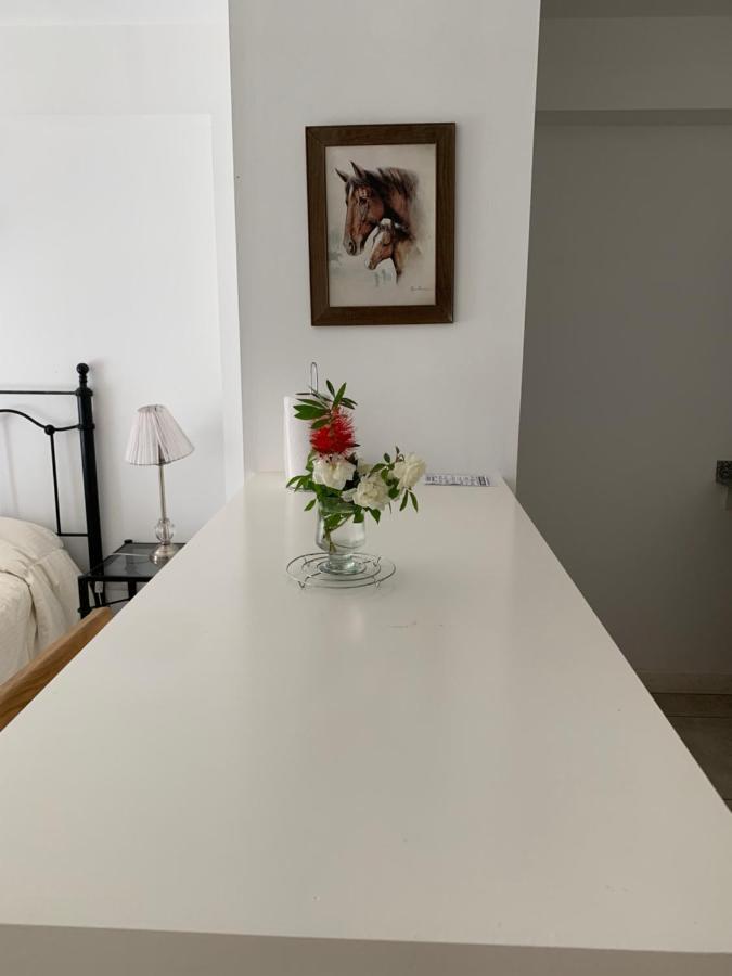 Paseo De Los Poetas Esteco 260 萨尔塔 外观 照片