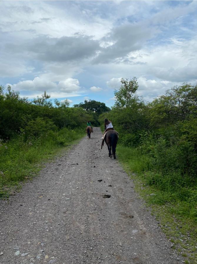 Paseo De Los Poetas Esteco 260 萨尔塔 外观 照片